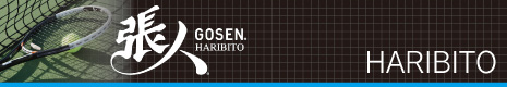 ゴーセン張人リンクバナー